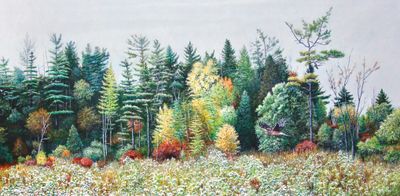 Woods edge.JPG