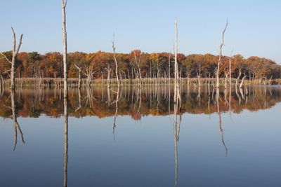 Dripping Springs Lake