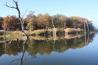 Dripping Springs Lake