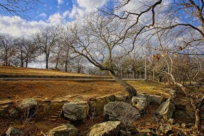 Scenery & Landscapes