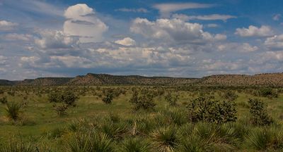Cimarron County