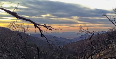 Chiricahua Wilderness