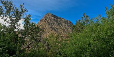 Chiricahua Wilderness