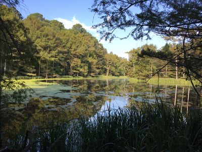 Forked Lake