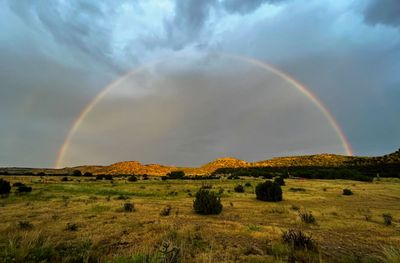 Rainbow