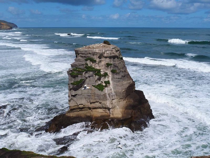 Motutara Island 1