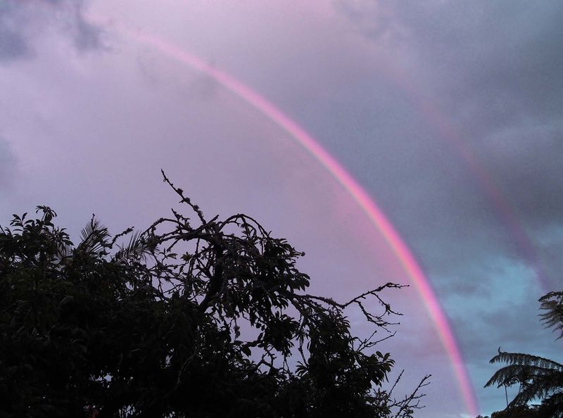 Rainbow