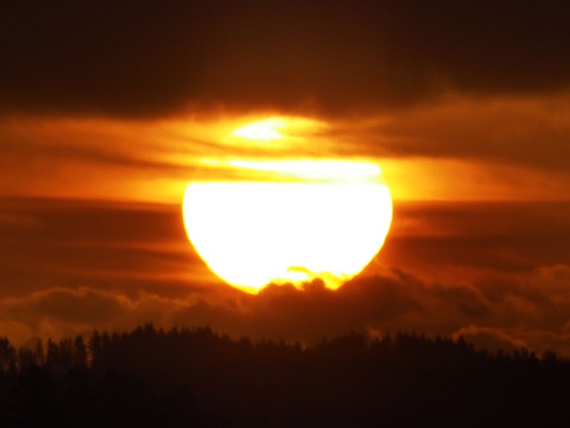 Contest Sunset 4