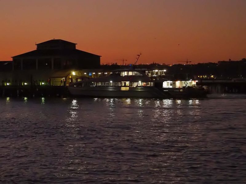 Ferry Auckland Devonport 5