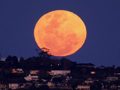 Full Moon 1