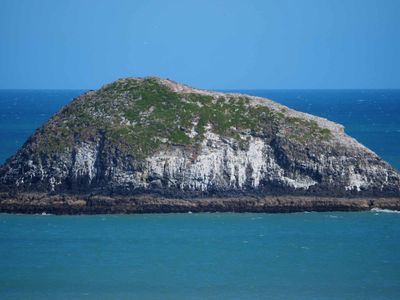 Oaia Island 2