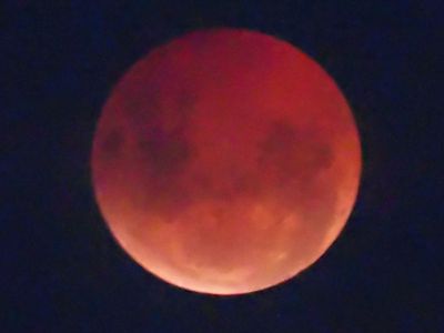 Moon Eclipse 1 March 14 2025