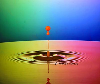SNW_0241a.jpg