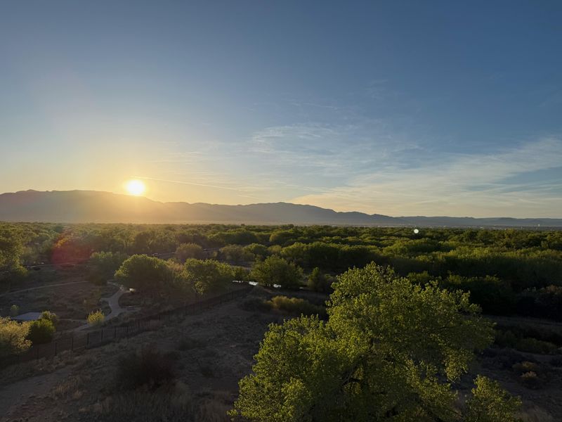 We are up above the bosque.