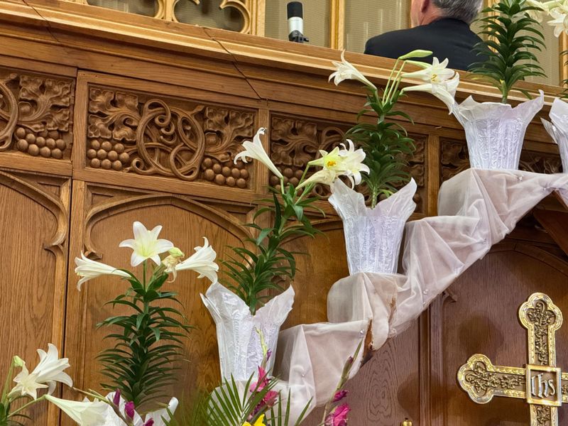 Easter Lilies on the altar.