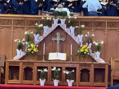 Easter at First Pres ABQ.  Rebirth and resurrection.