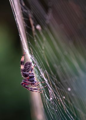 jims_photography