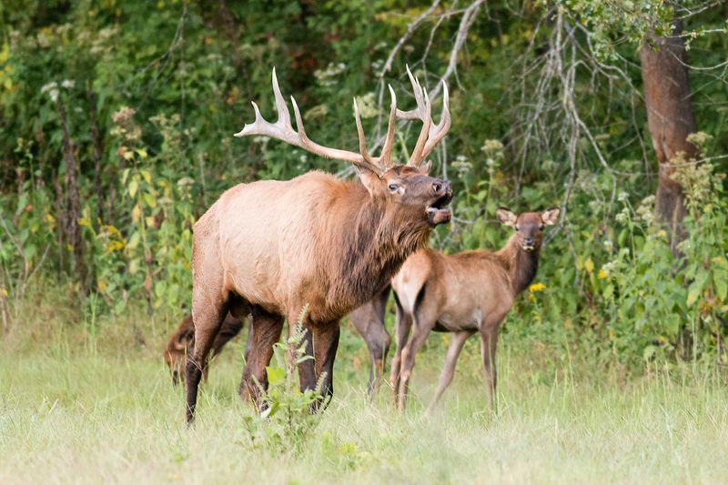 Web IMG_5146-D-clear.jpg