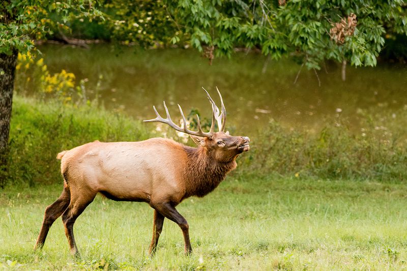 Web IMG_6024-D-clear.jpg