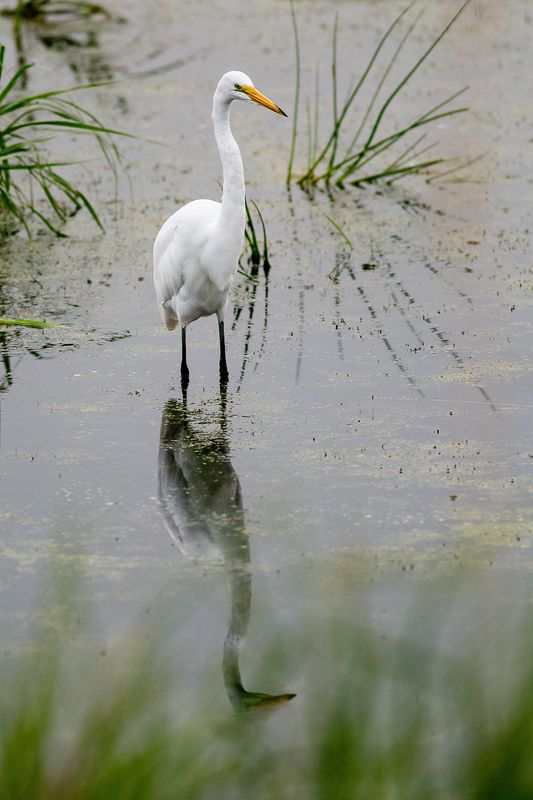 Web IMG_2970-D-clear.jpg