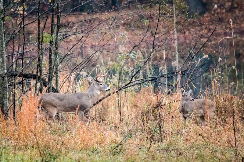 Web IMG_8786b-D-standard.jpg