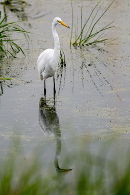 Web IMG_2970-D-clear.jpg