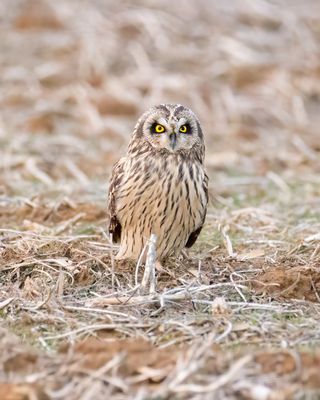 W2IMG_65392.jpg