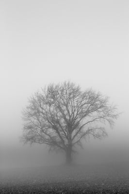 Web IMG_6590c-D.jpg