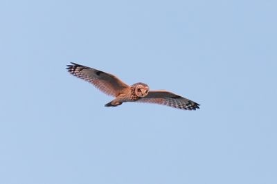 Web IMG_8960c-D.jpg