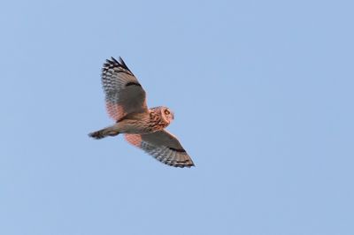 Web IMG_8972c-D.jpg