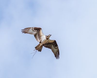 IMG_8567web.jpg