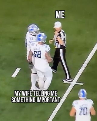lions.jpg