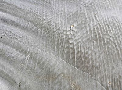 g13/07/617007/3/173922567.c1f06f08.JPEG