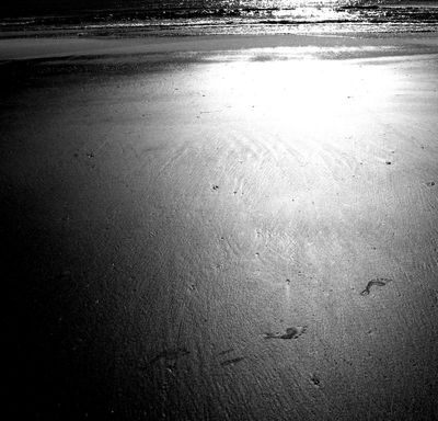 g13/07/617007/3/174610193.6b947092.JPEG