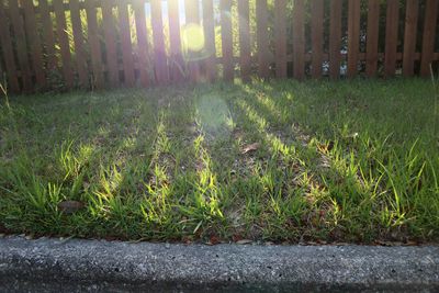 g13/07/617007/3/174639037.ed304083.JPEG