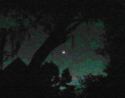 g13/07/617007/3/174843074.416f2884.JPEG