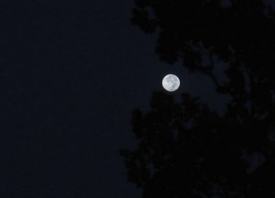 g13/07/617007/3/174970694.f50ce715.JPEG