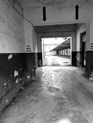 g13/07/617007/3/175071894.83c396e1.JPEG