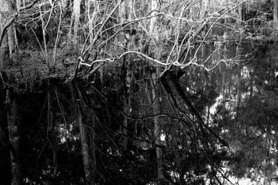 g13/07/617007/3/175105654.5822abe4.JPEG