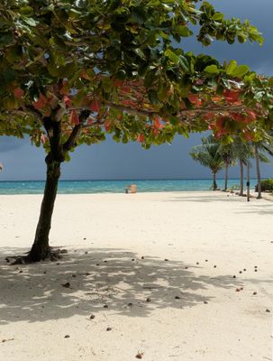 Placencia Belize