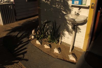 g13/07/617007/3/175239657.d0dd2e2c.JPEG