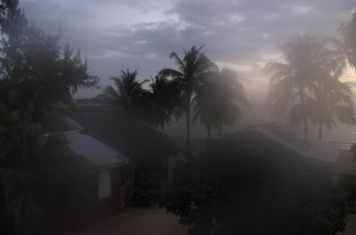 g13/07/617007/3/175241973.c4089d0e.JPEG