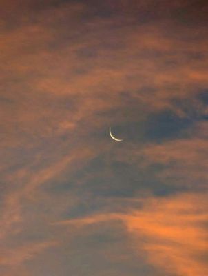 excess moons gallery