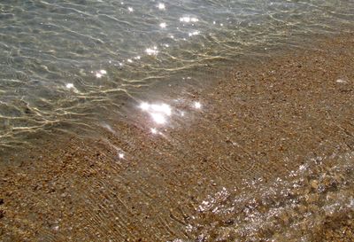 g13/07/617007/3/175575180.d89431aa.JPEG