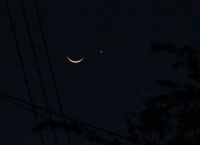 excess moons gallery