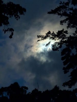 excess moons gallery