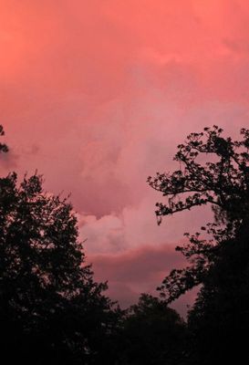 skies