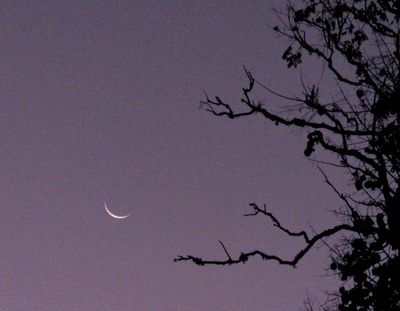 excess moons gallery