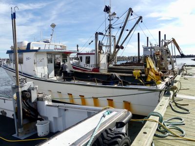 Pêche aux huîtres