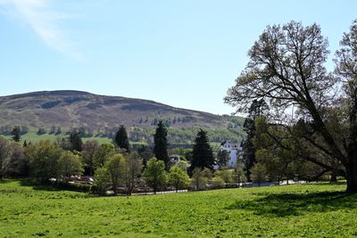 g13/07/6839307/3/175442874.d8c8148d.JPEG
